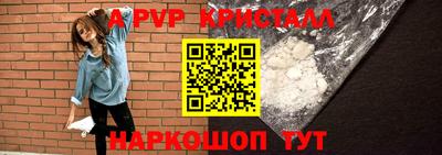 гидра Долгопрудный