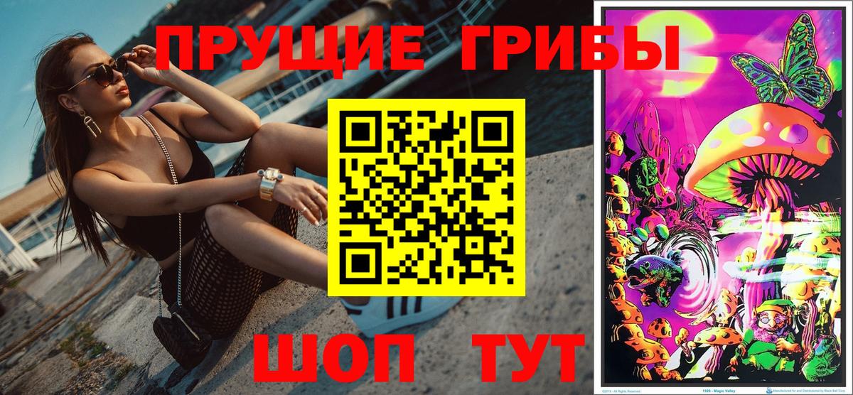 Псилоцибиновые грибы мицелий Новоалександровск
