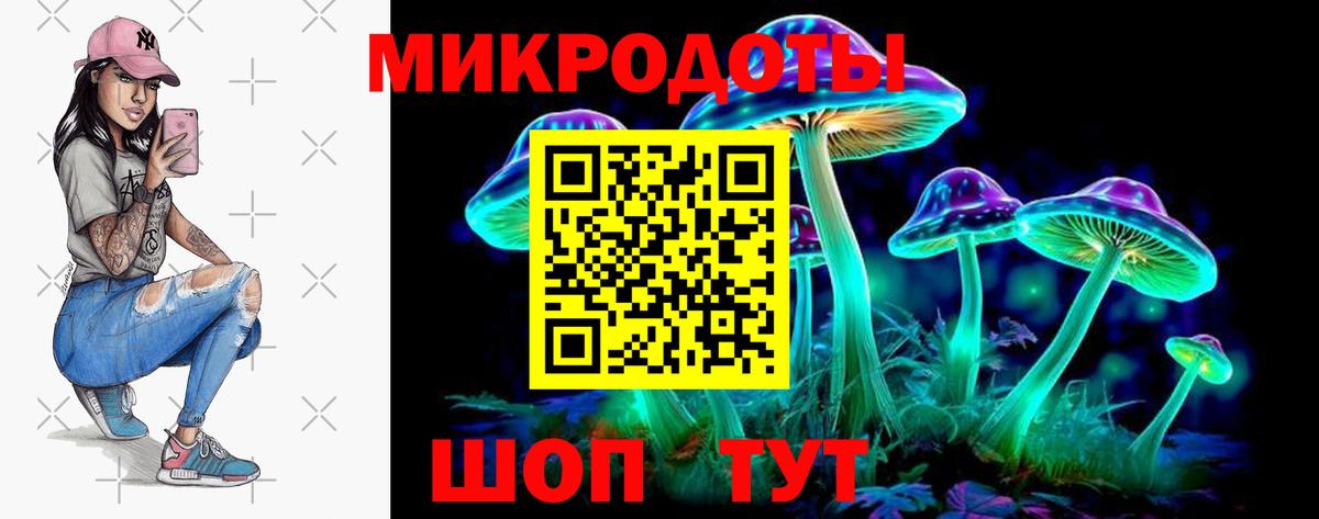 Псилоцибиновые грибы GOLDEN TEACHER  Псилоцибиновые грибы GOLDEN TEACHER  Вход с VPN  купить наркотики цена  Новоалександровск 